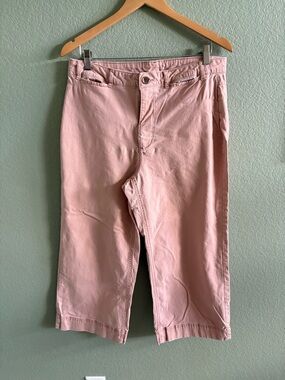 Pink Cropped Chino Pants 12P